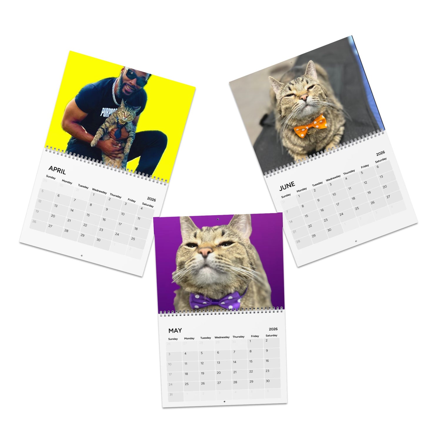 2026 Cat Wall Calendar — Tabby Cat & Dad