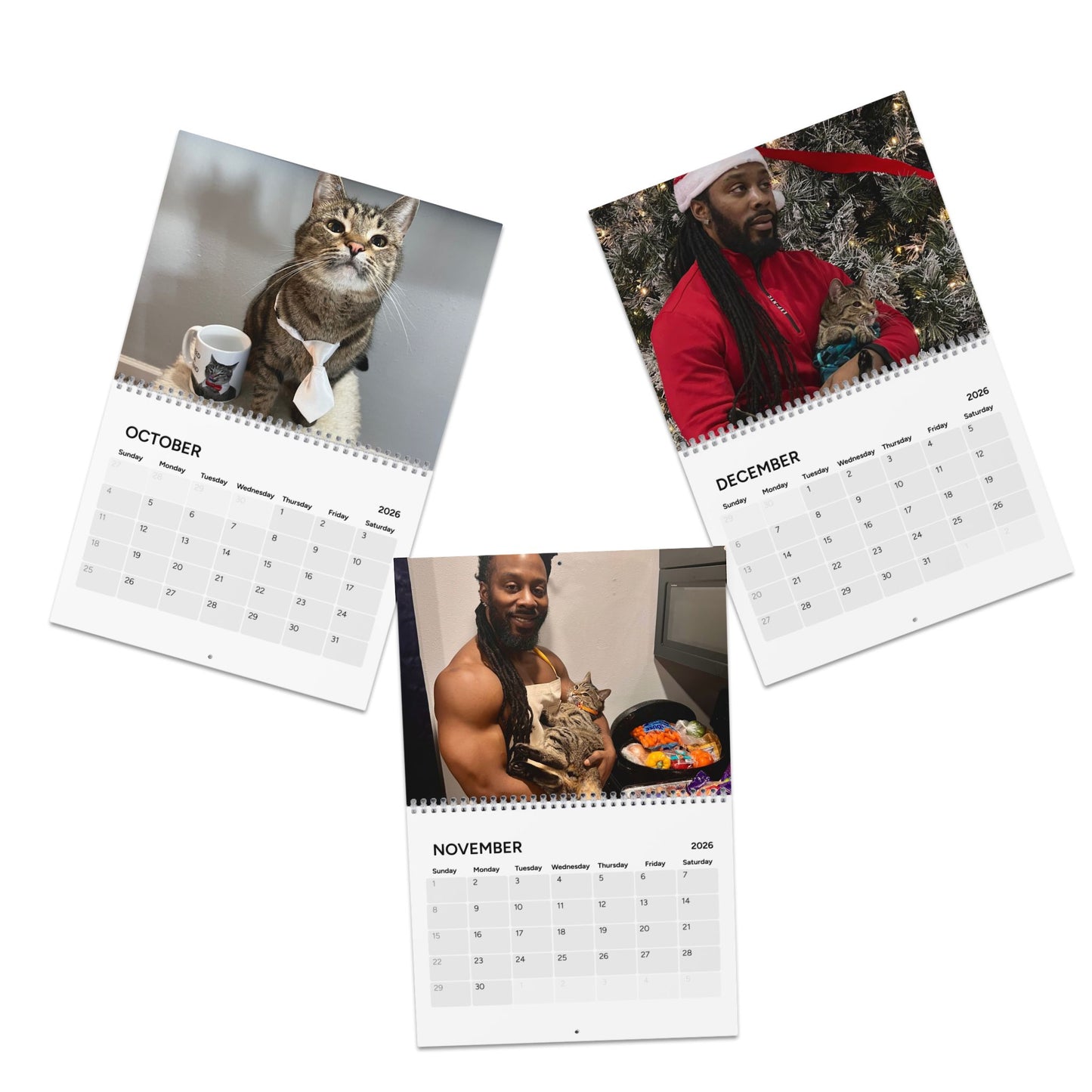 2026 Cat Wall Calendar — Tabby Cat & Dad