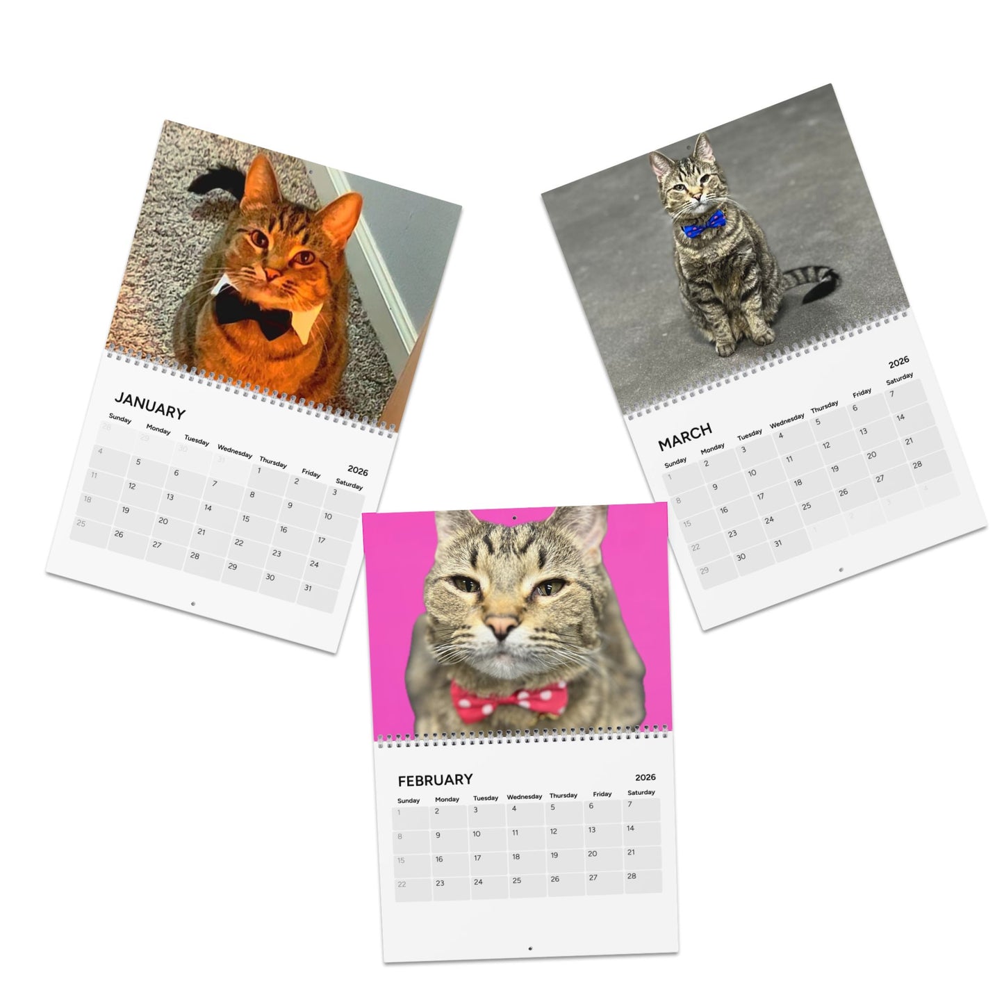 2026 Cat Wall Calendar — Tabby Cat & Dad