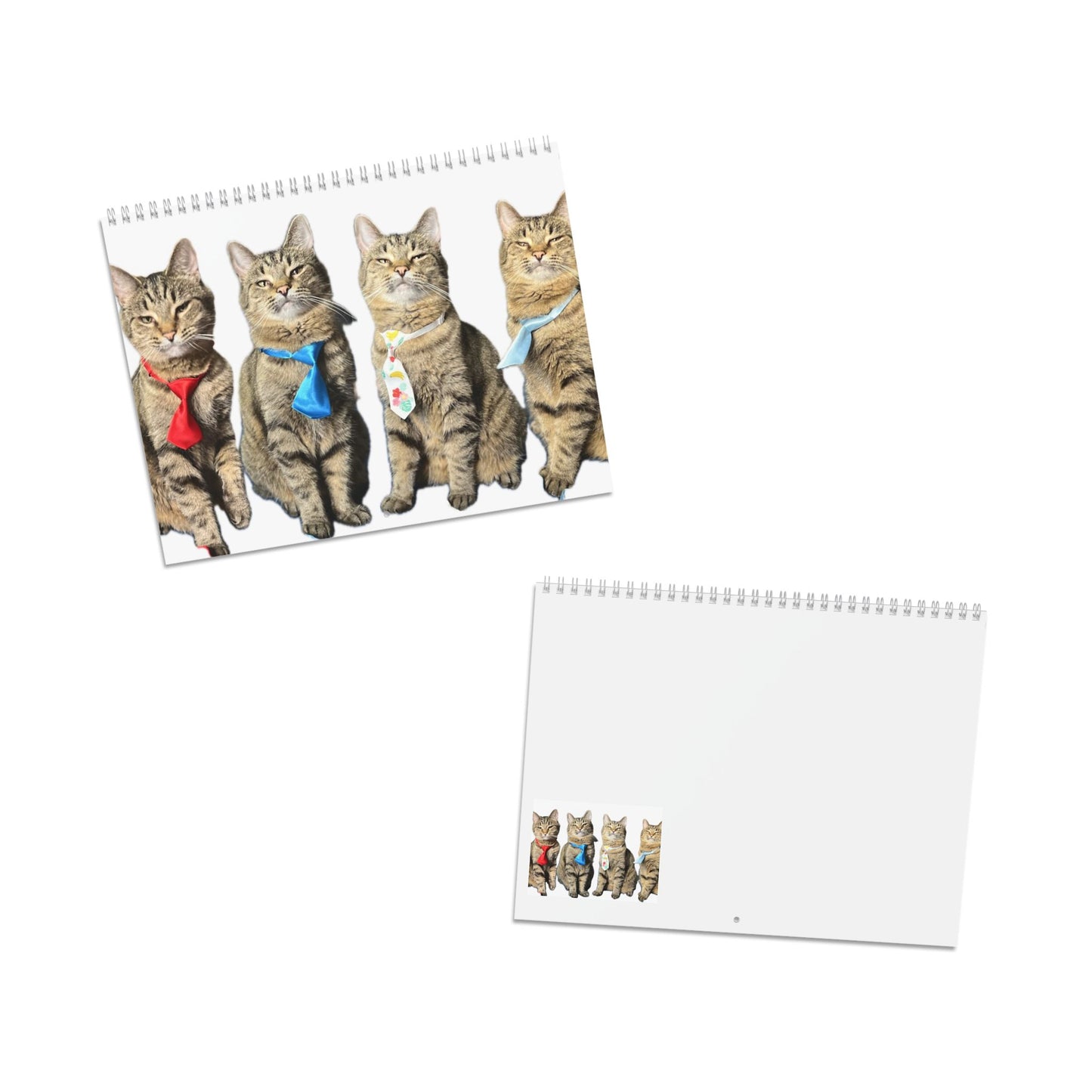 2026 Cat Wall Calendar — Tabby Cat & Dad